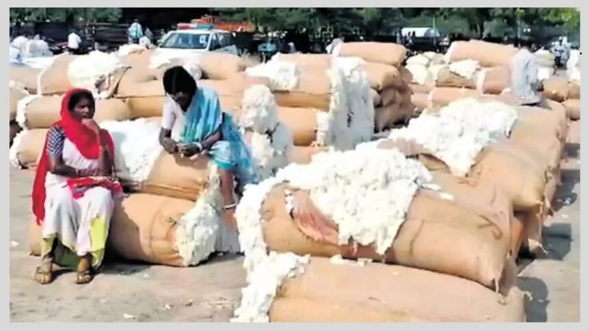 कपास कीमत को लेकर तेलंगाना में कई दिनों से विरोध प्रदर्शन जारी है