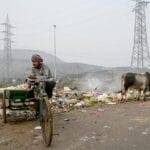 Smoke billowed from burning garbage as a man rested on his trash cart beside cows foraging  amid smoggy conditions in New Delhi, India