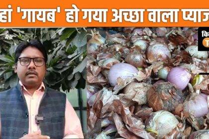 Does NCCF sell substandard onions to customers? Know the truth in the video