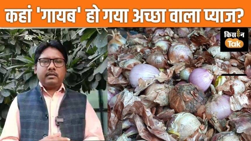 Does NCCF sell substandard onions to customers? Know the truth in the video