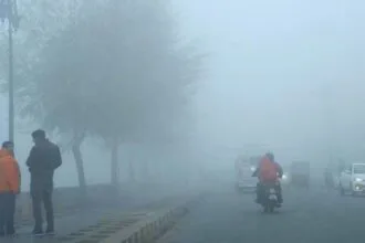 हिमाचल-पंजाब समेत कई राज्‍यों में कोहरे का अलर्ट. (फाइल फोटो)