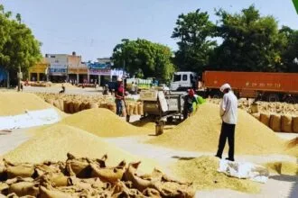 धान की एंट्री डिलीट