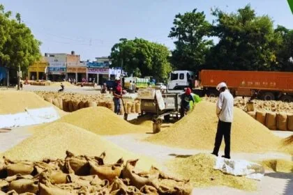 धान की एंट्री डिलीट