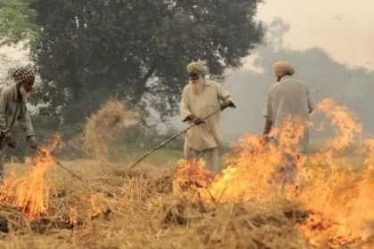 पराली में आग लगाते किसान