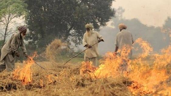 पराली में आग लगाते किसान