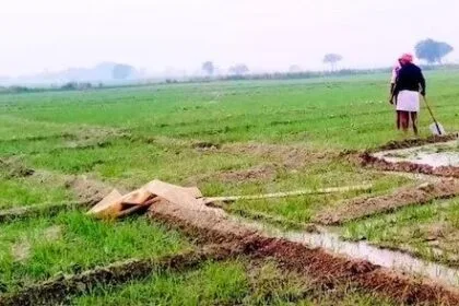 रबी फसलों की ब‍िजाई और सिंचाई को लेकर किसान चिंतित. (सांकेतिक तस्‍वीर)