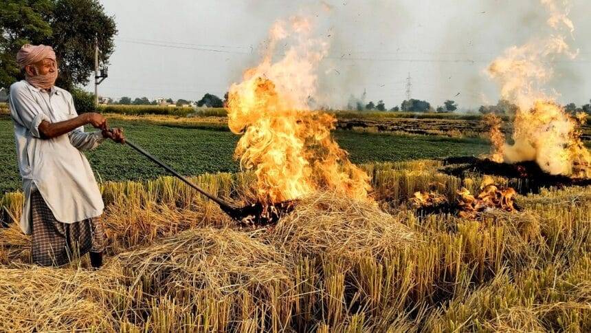 पंजाब में पराली जलाने के मामले: उत्तर भारत में खेतों में आग लगने से किसानों ने बायोगैस संयंत्रों के खिलाफ विरोध प्रदर्शन किया