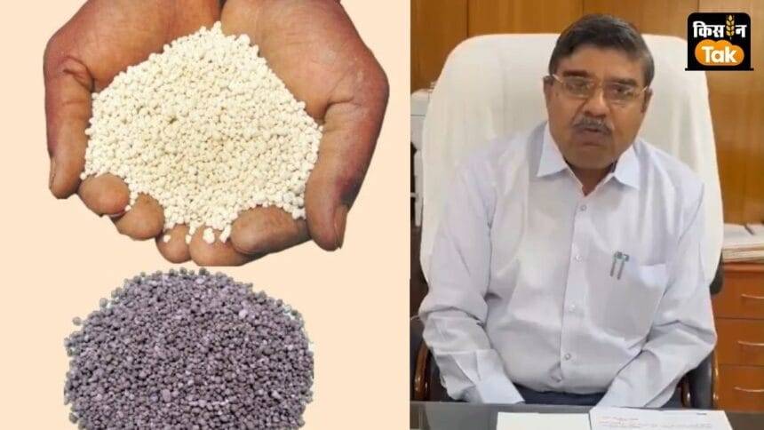 डीएपी की जगह सिंगल सुपर फॉस्फेट यानी एसएसपी का इस्तेमाल करने की सलाह.
