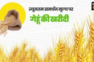 किसानों को गेहूं का बढ़ा हुआ MSP मिलेगा.