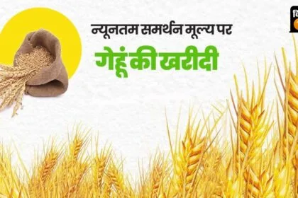 किसानों को गेहूं का बढ़ा हुआ MSP मिलेगा.
