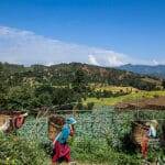 Climate crisis in Nepal: Farmers as the first refugees