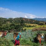 Climate crisis in Nepal: Farmers as the first refugees