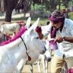 प्रतीकात्मक फोटो.