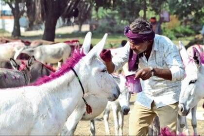 प्रतीकात्मक फोटो.