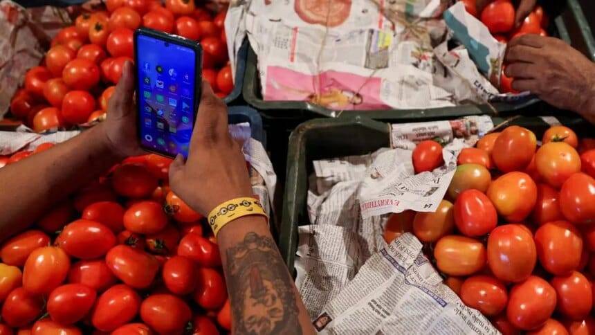 आपूर्ति में सुधार से टमाटर की खुदरा कीमतों में 22.4% की गिरावट: सरकार