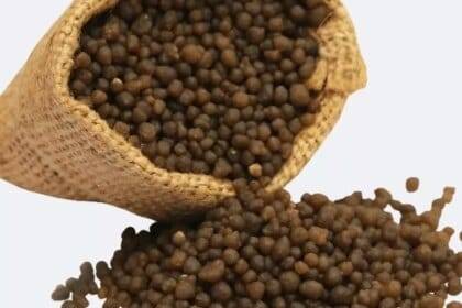 केंद्र ने डीएपी उपलब्धता बढ़ाने के लिए काम किया, वैश्विक आपूर्तिकर्ताओं को दोषी ठहराया