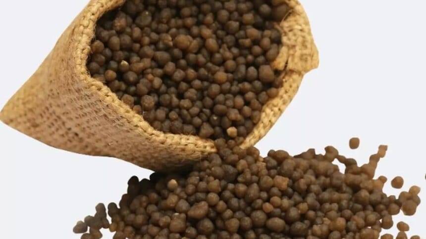 केंद्र ने डीएपी उपलब्धता बढ़ाने के लिए काम किया, वैश्विक आपूर्तिकर्ताओं को दोषी ठहराया