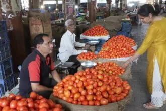 Tomato