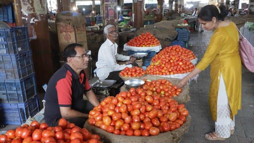 Tomato