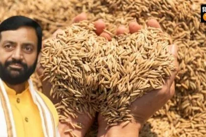 धान खरीद का हर‍ियाणा में क‍ितना है टारगेट?