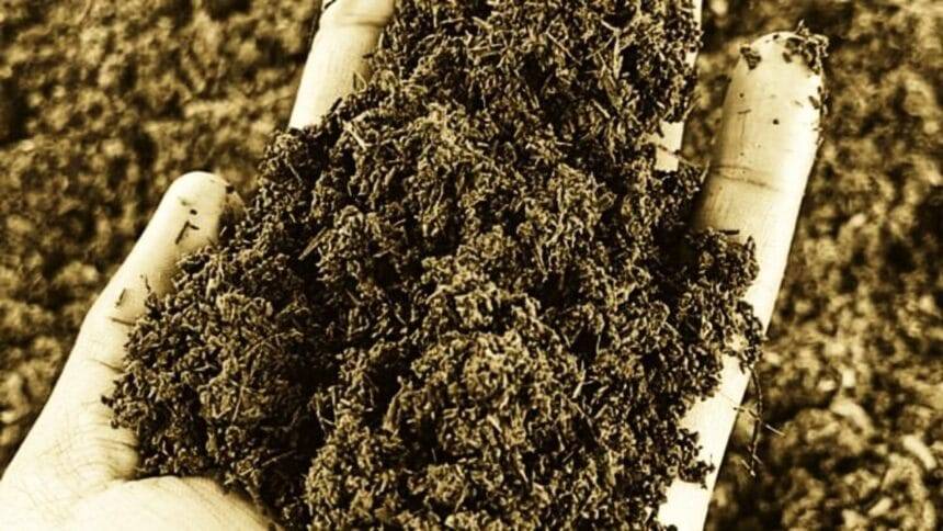 पराली जलाने से खराब हो जाती है म‍िट्टी की सेहत.