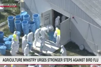 जापान के कृषि मंत्रालय ने अधिकारियों से बर्ड फ्लू के प्रसार से निपटने का आग्रह किया है