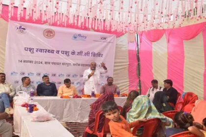 मुरैना में पशुपालन की केसीसी एवं पशु स्वास्थ्य शिविर सम्पन्न