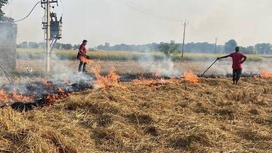 दिल्‍ली के वायु प्रदूषण में पराली का बहुत कम योगदान है. (फाइल फोटो)