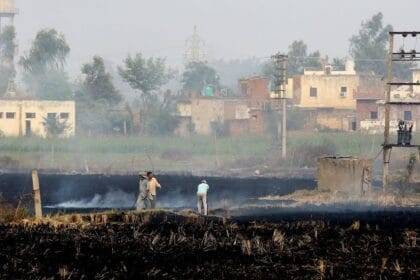 A file photo of a farm fire in October.