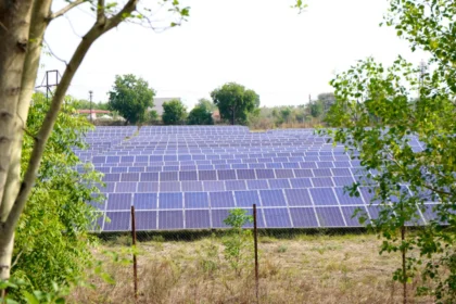 पाकिस्तान में तेजी से $1.7 बिलियन का सौर उछाल कृषि क्षेत्र में क्रांति ला रहा है