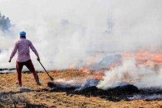 3 नवंबर से अबतक खेतों में आग लगने की 3,000 घटनाएं हुईं.