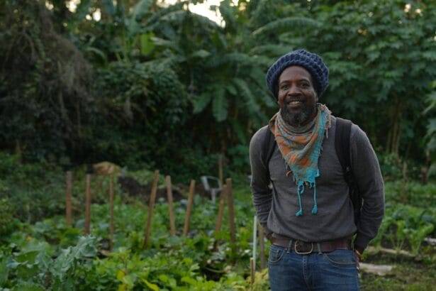 पोर्टर्स क्वार्टर्स सामुदायिक फार्म खाद्य असुरक्षा का मुकाबला करता है, पड़ोस को सशक्त बनाता है