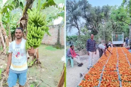 किसानों की आमदनी को बढ़ाना सरकार का मकसद है. 