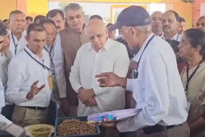 गुजरात में मूंगफली समेत कई फसलों की समर्थन मूल्‍य पर खरीद