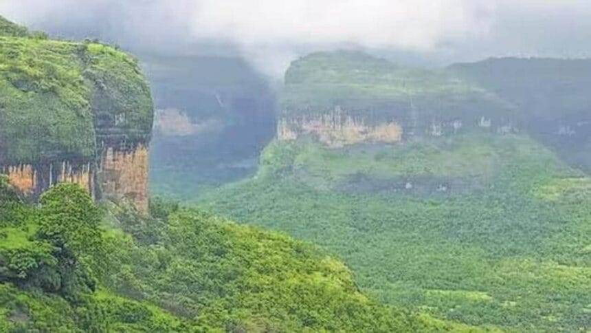 स्थायी भविष्य के लिए जैव विविधता संरक्षण