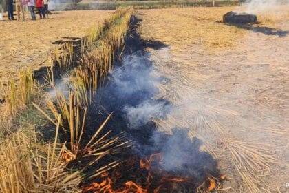 Punjab Reports 587 Farm Fires Today, Highest Single-Day Spike This Season