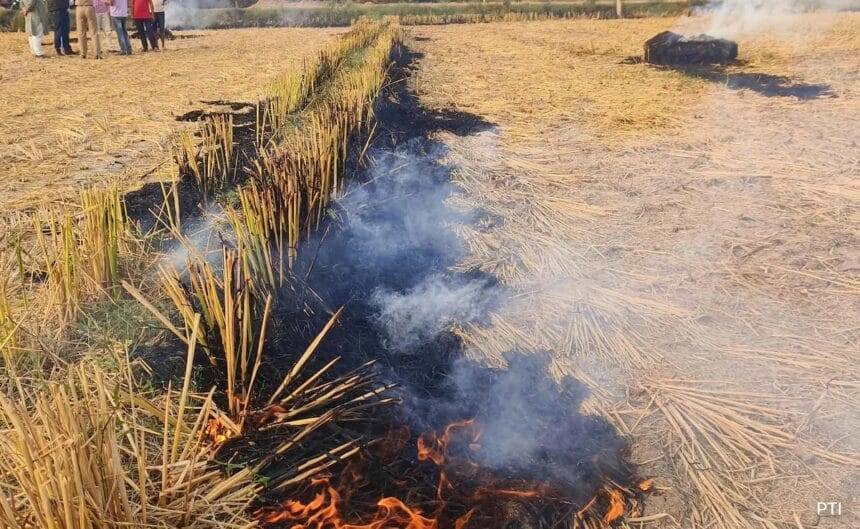 Punjab Reports 587 Farm Fires Today, Highest Single-Day Spike This Season