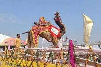 पुष्कर पशु मेले का प्रतीकात्मक फोटो.