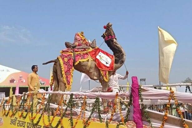 पुष्कर पशु मेले का प्रतीकात्मक फोटो.