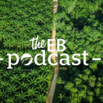 'We revised the standard because we should': What RSPO's new rules for sustainable palm oil mean for people and planet | Podcasts | Eco-Business