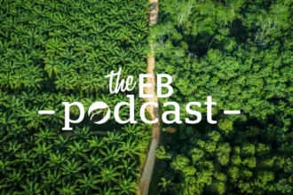 'We revised the standard because we should': What RSPO's new rules for sustainable palm oil mean for people and planet | Podcasts | Eco-Business