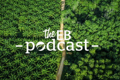 'We revised the standard because we should': What RSPO's new rules for sustainable palm oil mean for people and planet | Podcasts | Eco-Business