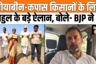 Rahul Gandhi made a big announcement for soybean and cotton farmers, watch video