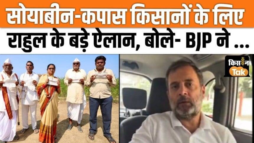 Rahul Gandhi made a big announcement for soybean and cotton farmers, watch video