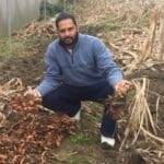 Narinder Singh started practising near-zero-budget natural farming in 2011. Express