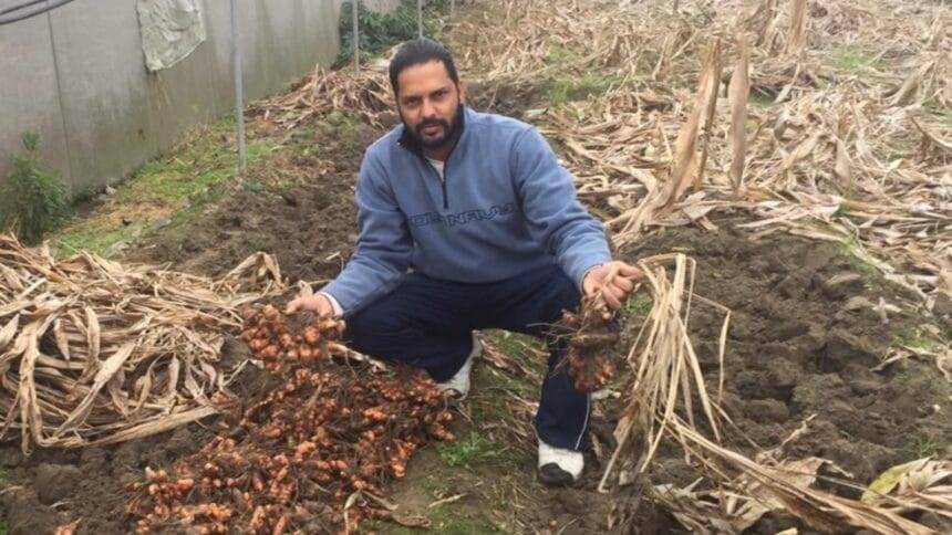 Narinder Singh started practising near-zero-budget natural farming in 2011. Express