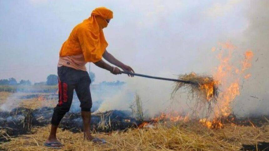 पराली जलाने की घटनाएं 8 हजार के पार. (फाइल फोटो)