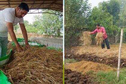 शाहजहांपुर के नवीपुर गांव के रहने वाले युवा किसान ज्ञानेश तिवारी (Photo Credit-Kisan Tak)