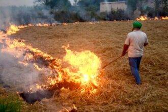 Delhi pollution: Punjab sees record farm fires amid SC scrutiny