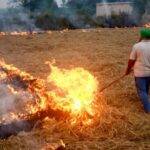 Delhi pollution: Punjab sees record farm fires amid SC scrutiny